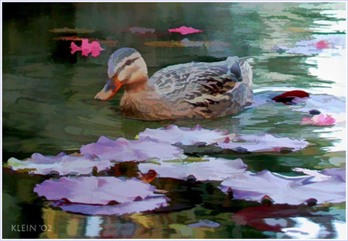 Duck Painting